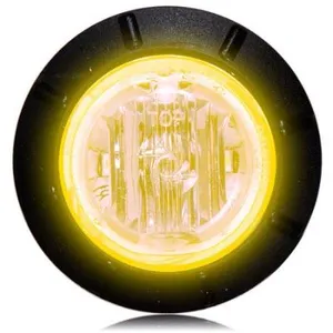 MAXXIMA/PANOR CORP Auxiliary Light 287872 