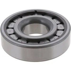 Spicer Differential Pilot Bearing 244436 