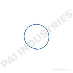 PAI RING WEAR SPL 624604 