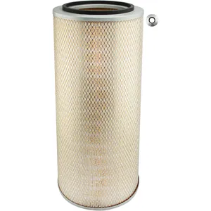 Baldwin AIR FILTER 1438168 