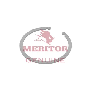 Meritor Snapring-.100 714496 