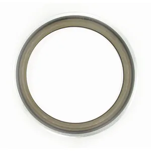 SKF Seal 495264 