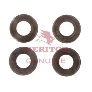 Meritor Washer-Thrust 216632 