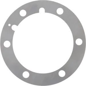 Spicer SHIM .010 309844 