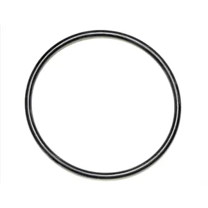 Spicer O RING 505134 