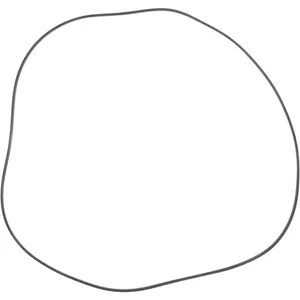 Spicer O RING 523824 