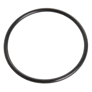 Holland O-RING,CAMSHAFT 595898 