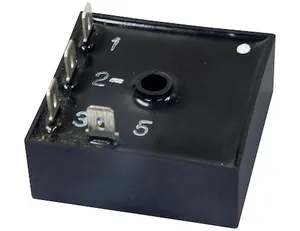 Buyers Products TIMER 12 VDC 461946 