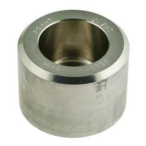 National Bearing Pilot Tool 695728 