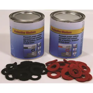 Phillips BATT ACC 419494 