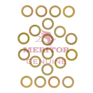 Meritor Washer-.031 Thk 1091074 