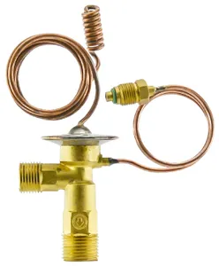 TruckAir Expansion Valve 252652 