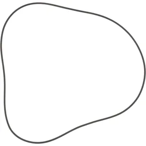 Spicer O RING 513648 
