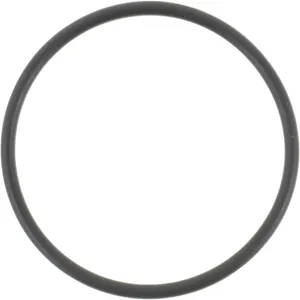 Spicer O-RING 520922 