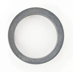 SKF Seal 495282 