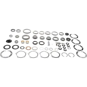 Spicer Repair Kit - Differential Bearings 223860 