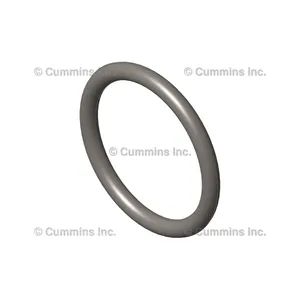 Cummins Seal 295720 