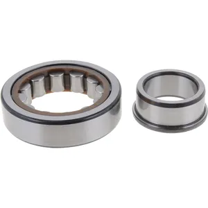Spicer ROLLER BEARING 509102 