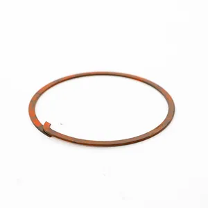 American Axle Retain 244062 