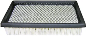 Baldwin CAB FLTER 384102 