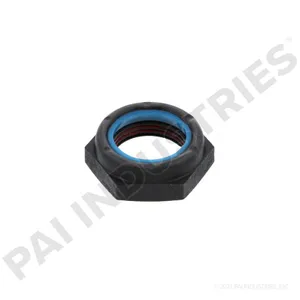PAI NUT 624354 