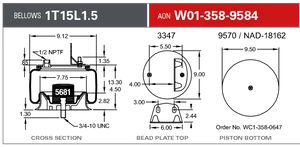 Firestone AIR SPRNG 592216 
