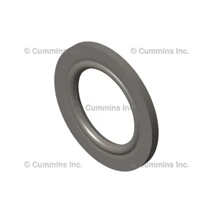 Cummins Washer Sealing 330818 