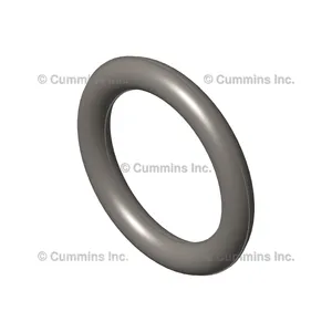 Cummins Seal 359794 