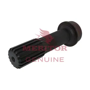 Meritor Plug-Spline 244970 