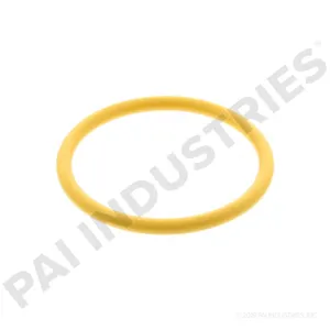 PAI O RING 623456 
