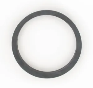 SKF Seal 491300 