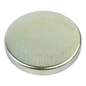 PAI PLUG CUP CAM 335602 