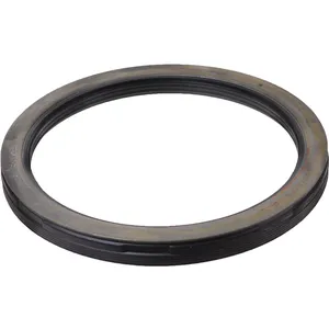 SKF Seal 493384 