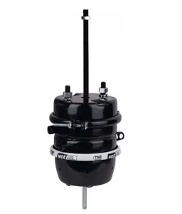 TSE VCT Omni 1032734 