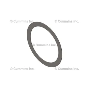 Cummins Shim F P Gov 1403765 