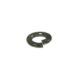 Donovan Stainless Lock 1033798 