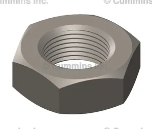 Cummins Nut,Regular 899898 