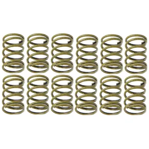 Raybestos DRUM BRAKE SHOE HOLD DOWN SPRING 1089130 