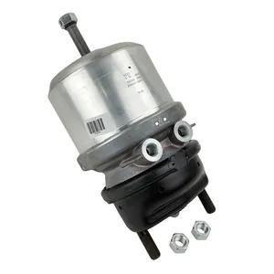 Bendix Chamber Assembly - Spring And Service Brake 240544 