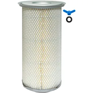 Baldwin AIR FILTER 909116 