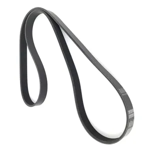 Dayco Serpentine Belt 296448 