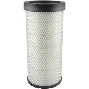 Baldwin Air Element 243384 