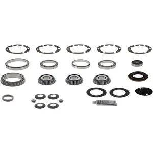 Spicer Repair Kit - Differential Bearings 236718 