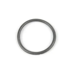 Spicer O RING 539938 