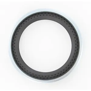 SKF Seal 495346 