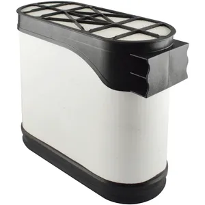 Baldwin Air Element 243802 