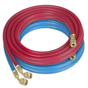 Robinair/Bosch RED & BLUE HOSE 1296116 