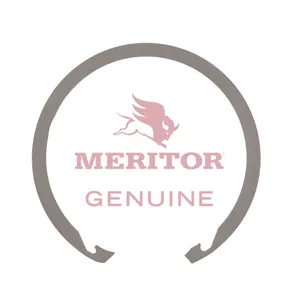 Meritor Ring-Snap .155 310732 