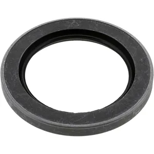 Spicer OIL SEAL 431866 
