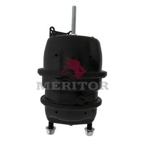 Meritor Ay-Chmbr Brake 213956 